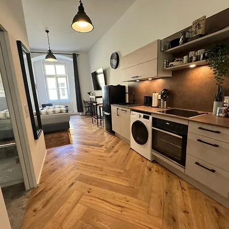 Apartament Industrial Schlossberg *